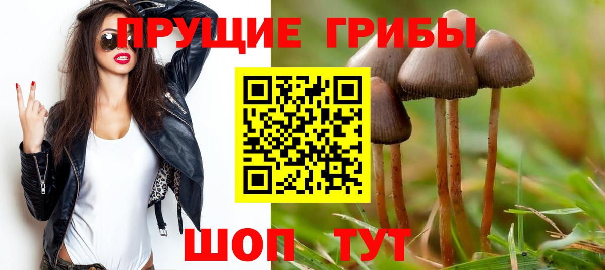 Биробиджан  Псилоцибиновые грибы мухоморы  Вход с VPN 
